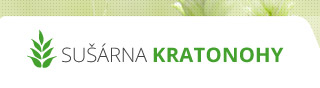 Primary Raster logo